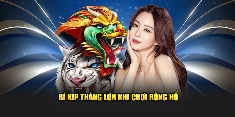 Bí kíp đem về thắng lợi khi chơi Rồng Hổ
