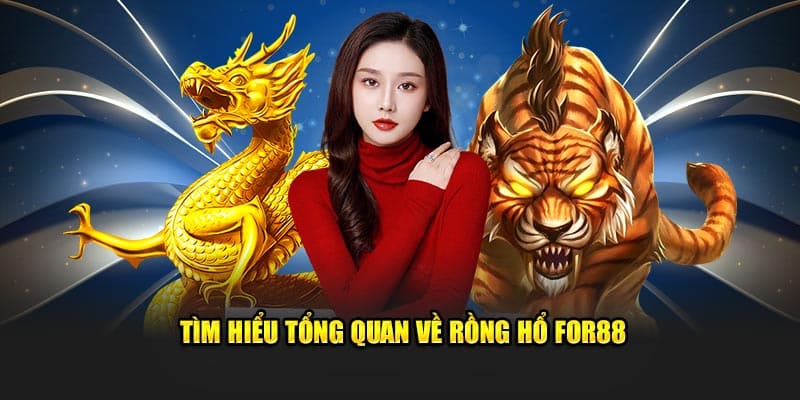Tìm hiểu tổng quan về Rồng Hổ For88